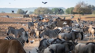 הספארי ברמת גן, צילום: ים סיטון